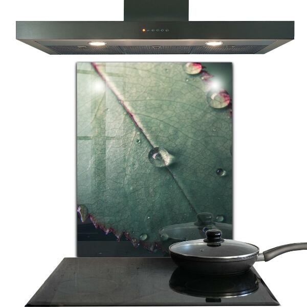 Lacobel do kuchni Liść z Kroplą Rosy