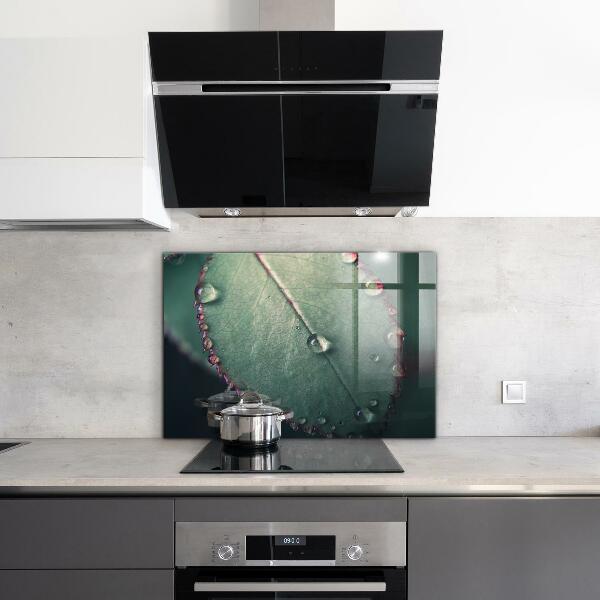 Lacobel do kuchni Liść z Kroplą Rosy