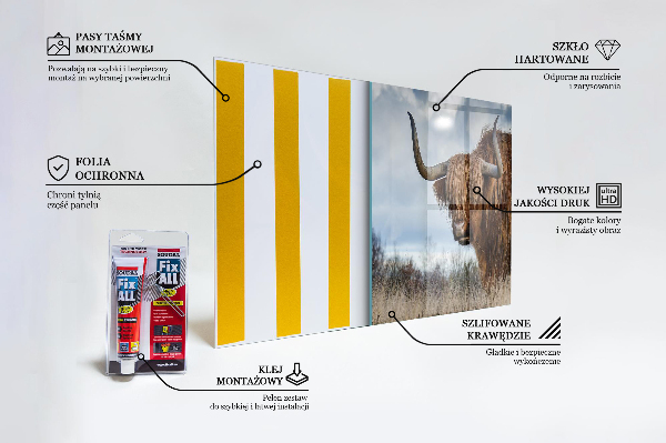 Panel szklany do kuchni Krowa Highland Boho