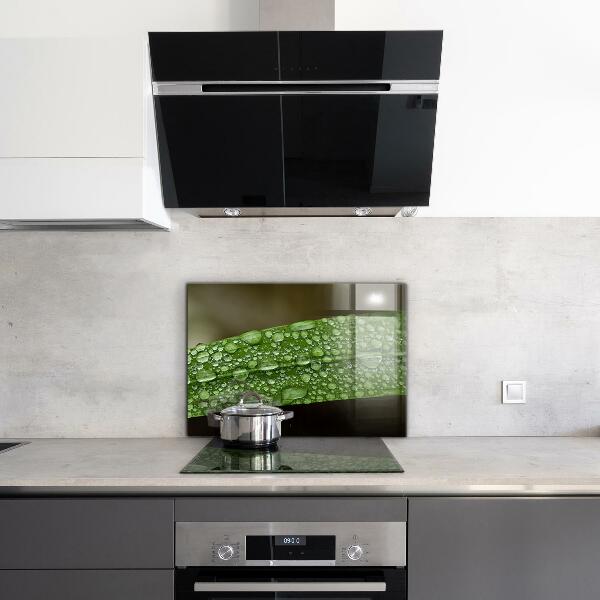 Lacobel do kuchni Zielony Liść po Deszczu