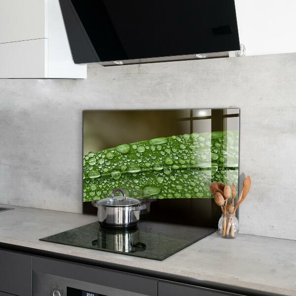 Lacobel do kuchni Zielony Liść po Deszczu