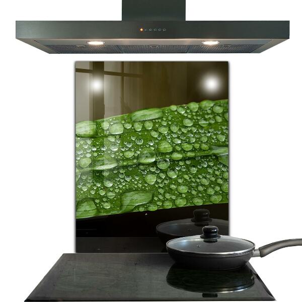 Lacobel do kuchni Zielony Liść po Deszczu