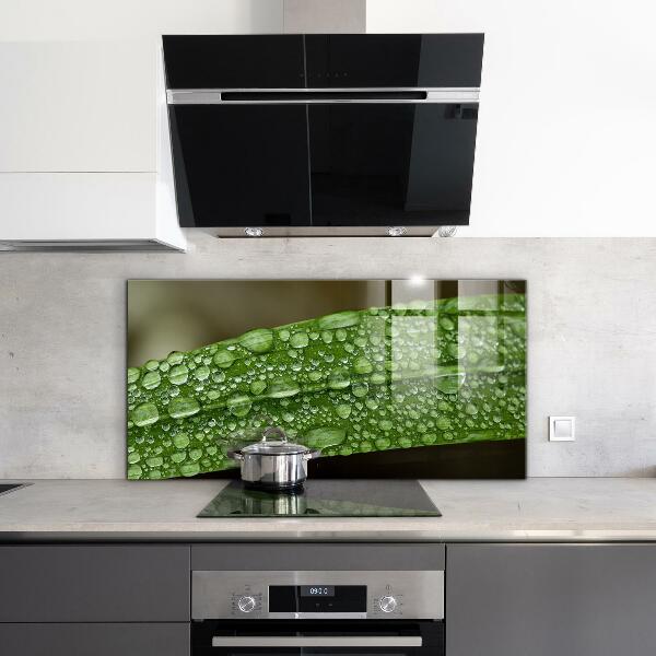 Lacobel do kuchni Zielony Liść po Deszczu
