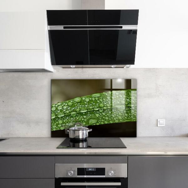 Lacobel do kuchni Zielony Liść po Deszczu