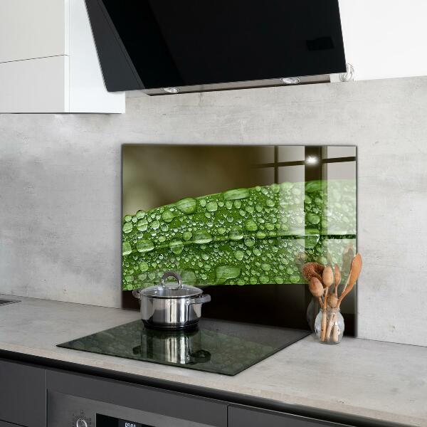 Lacobel do kuchni Zielony Liść po Deszczu