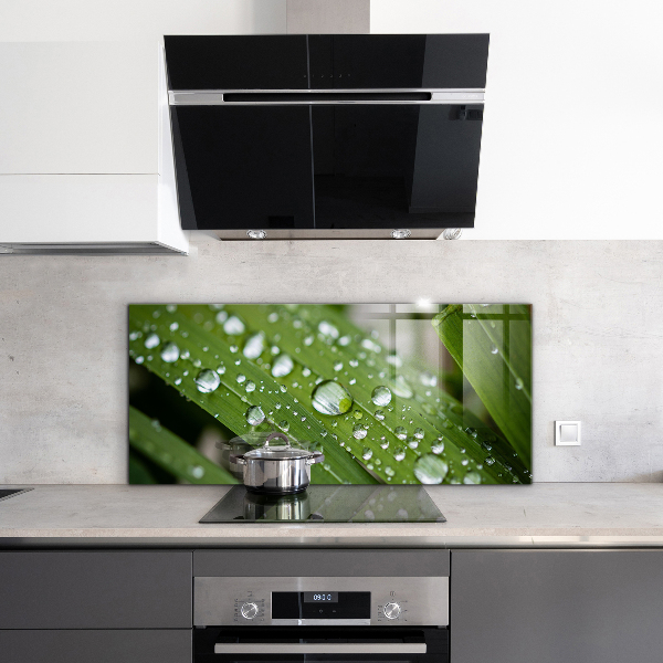 Lacobel do kuchni Krople Rosy na Trawie