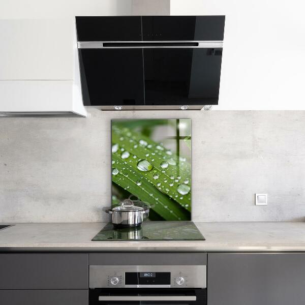 Lacobel do kuchni Krople Rosy na Trawie