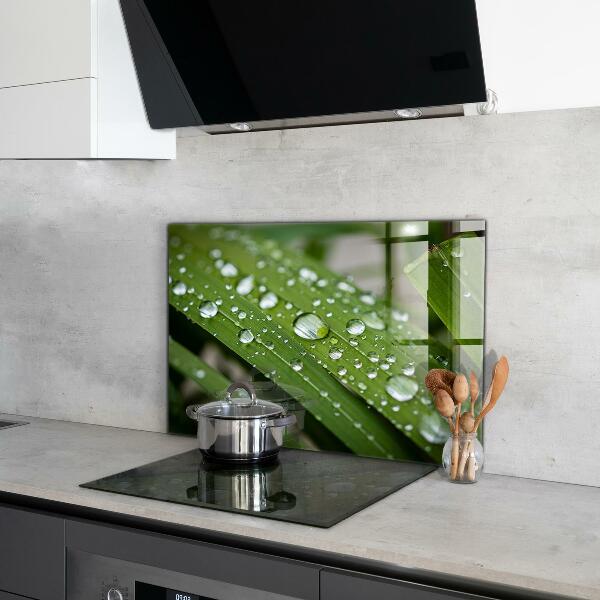 Lacobel do kuchni Krople Rosy na Trawie