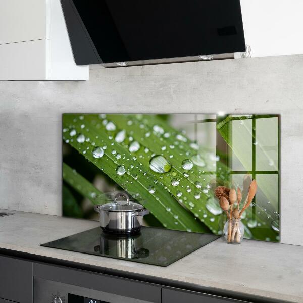 Lacobel do kuchni Krople Rosy na Trawie