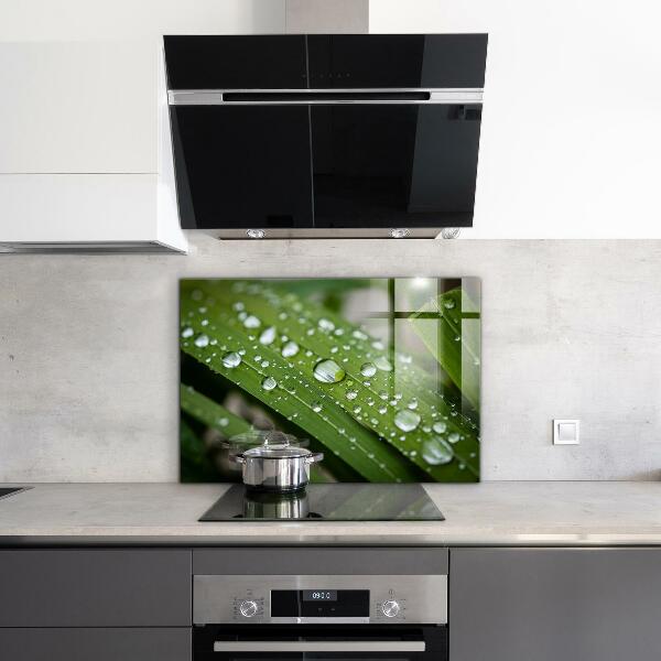 Lacobel do kuchni Krople Rosy na Trawie