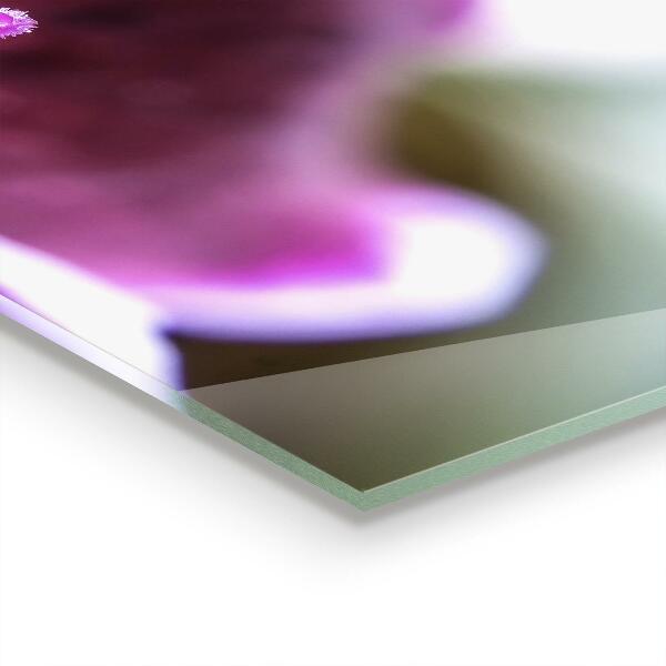 Panel nad blat kuchenny Różowy Kwiat Detale Natura