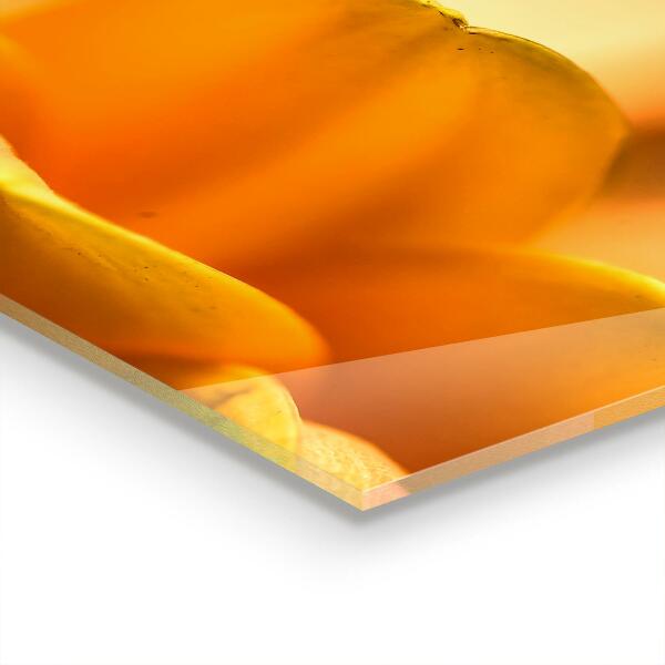 Panel nad blat kuchenny Kwiat Gerber