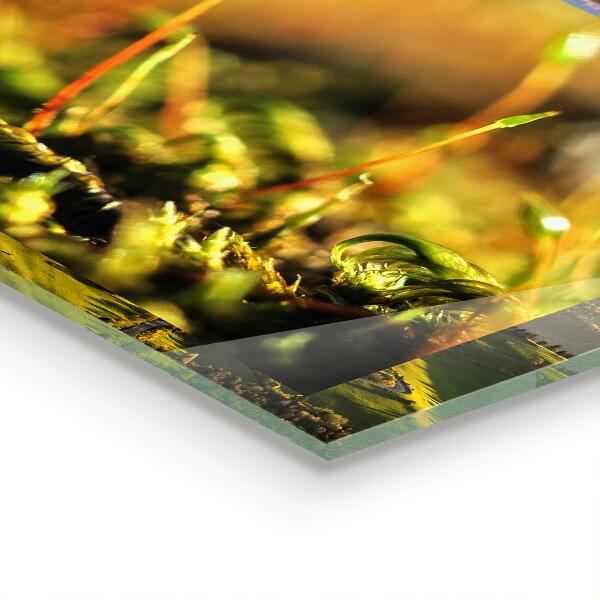 Panel nad blat kuchenny Mech Leśny Detale