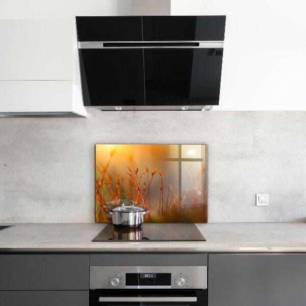 Panel nad blat kuchenny Pole Zboża o Zachodzie Słońca