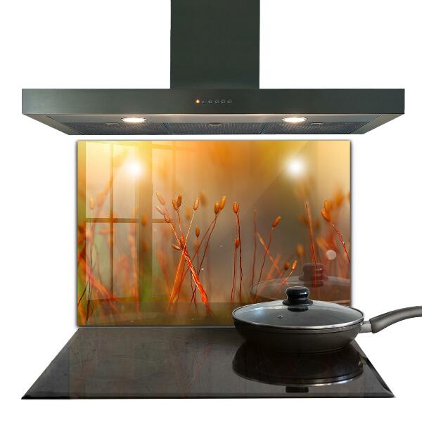 Panel nad blat kuchenny Pole Zboża o Zachodzie Słońca