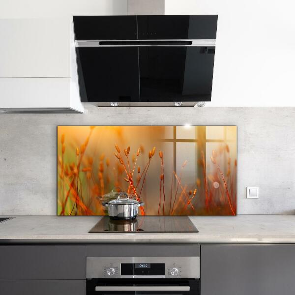 Panel nad blat kuchenny Pole Zboża o Zachodzie Słońca