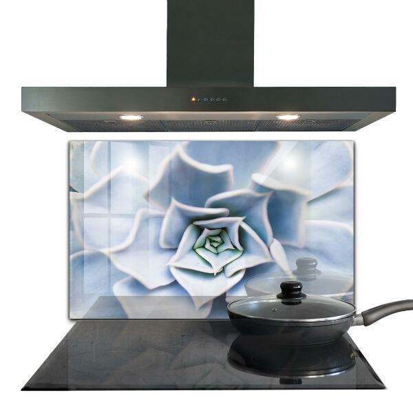 Panel nad blat kuchenny Kaktus Sukulent