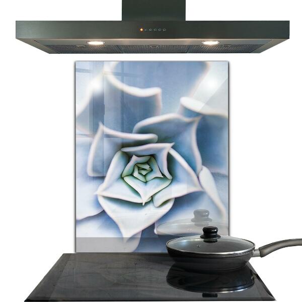 Panel nad blat kuchenny Kaktus Sukulent