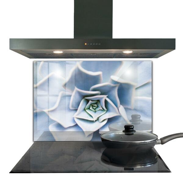 Panel nad blat kuchenny Kaktus Sukulent