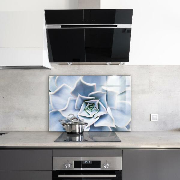 Panel nad blat kuchenny Kaktus Sukulent