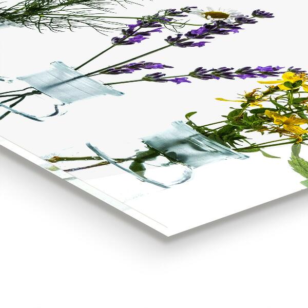 Panel nad blat kuchenny Naturalne Zioła Zdrowie