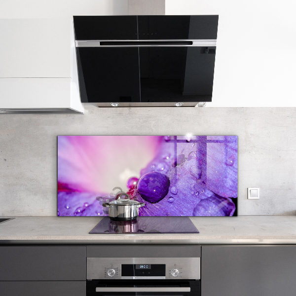 Panel szklany do kuchni Fioletowy Kwiat z Poranną Rosą