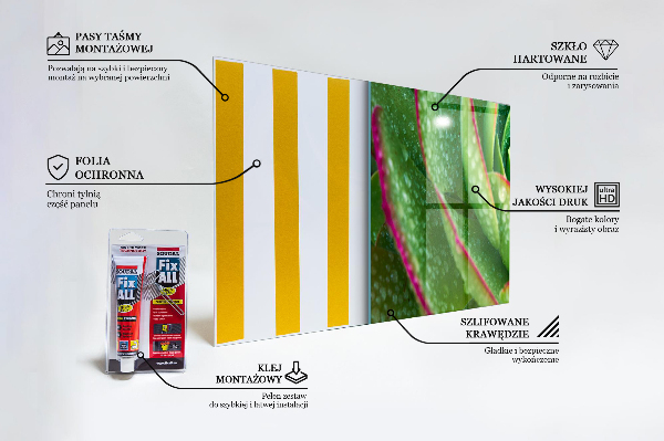 Panel szklany do kuchni Sukulent Skalnik Zielony Ogród