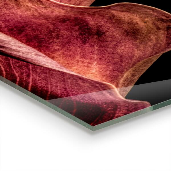 Panel szklany do kuchni Elegancki Delikatny Liść