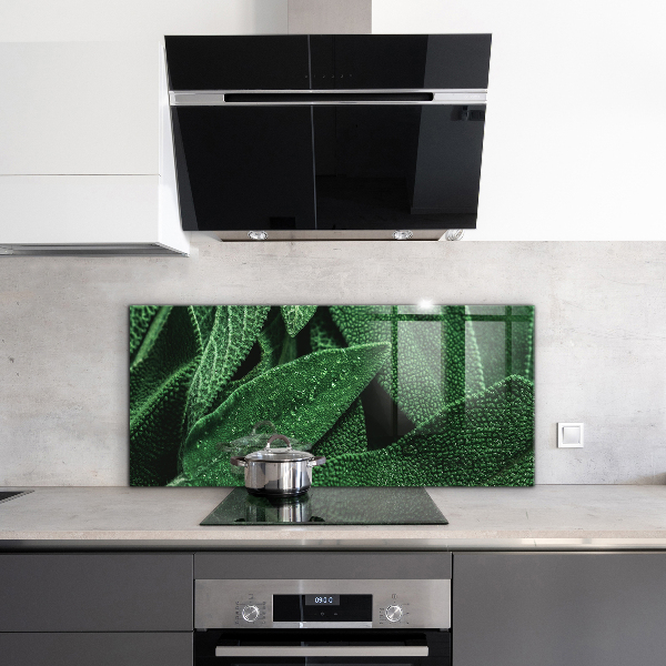 Panel szklany do kuchni Zielone Liście po Deszczu