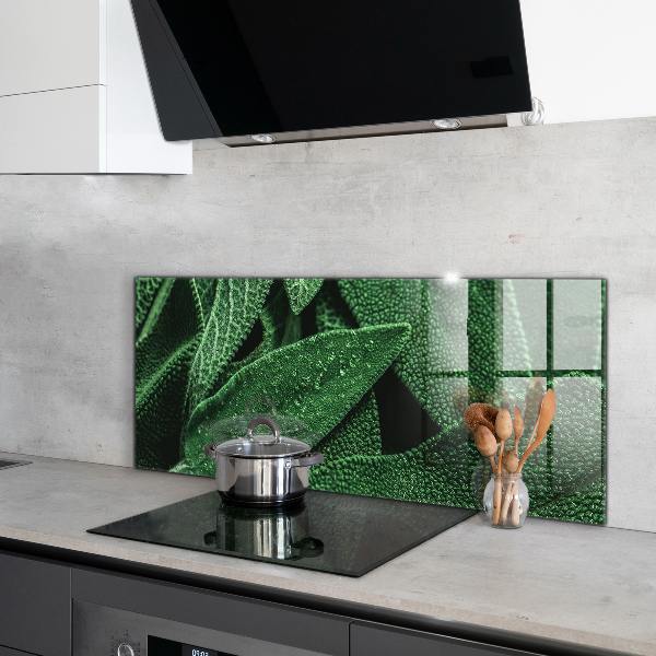 Panel szklany do kuchni Zielone Liście po Deszczu