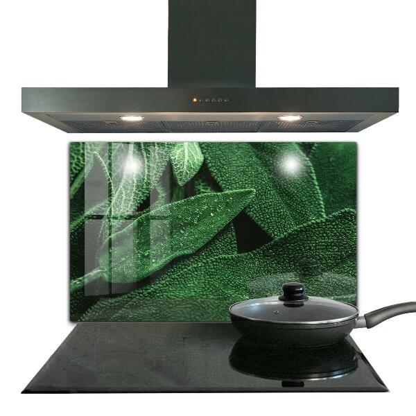 Panel szklany do kuchni Zielone Liście po Deszczu