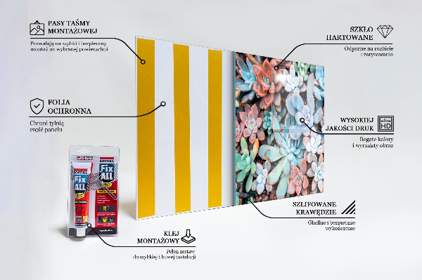 Panel szklany do kuchni Kolorowe Sukulenty
