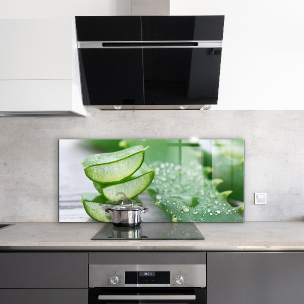 Lacobel do kuchni Aloes Aloe Vera Roślina