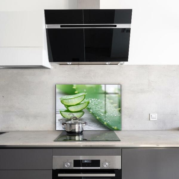 Lacobel do kuchni Aloes Aloe Vera Roślina