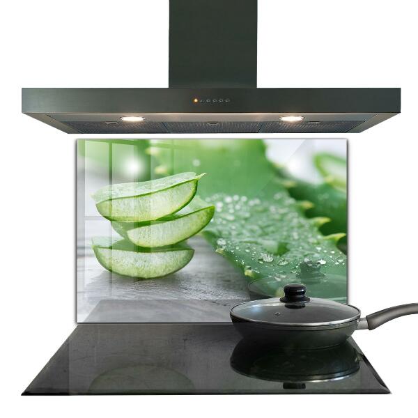 Lacobel do kuchni Aloes Aloe Vera Roślina