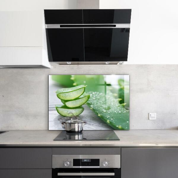 Lacobel do kuchni Aloes Aloe Vera Roślina