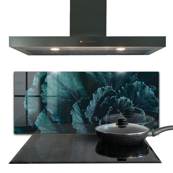 Lacobel do kuchni Liście Kapusty Ciemno-zielone