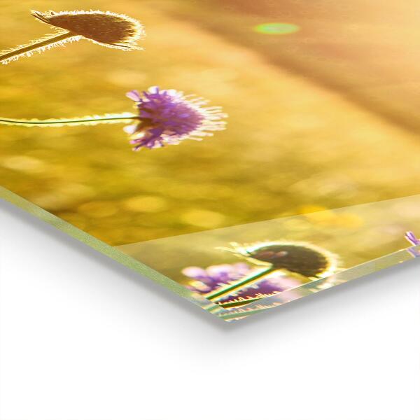 Lacobel do kuchni Letnia Kwitnąca Łąka