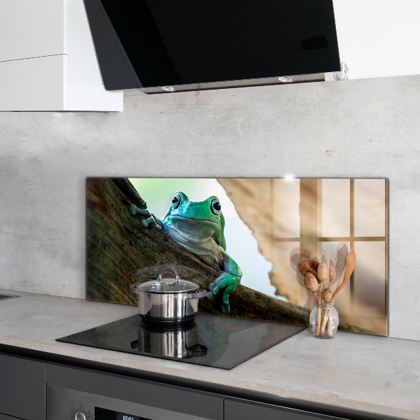 Panel szklany do kuchni Ciekawska Żaba Na Liściu