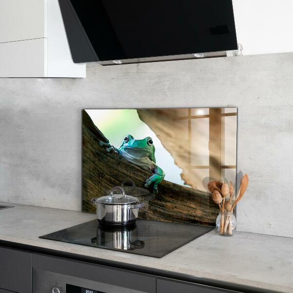 Panel szklany do kuchni Ciekawska Żaba Na Liściu