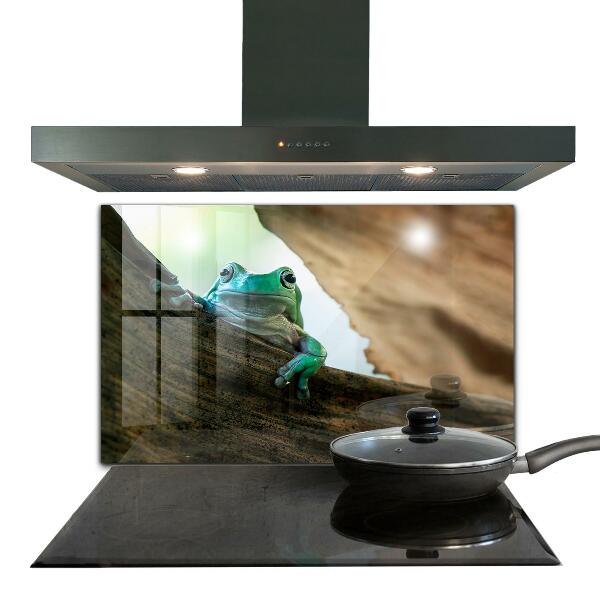 Panel szklany do kuchni Ciekawska Żaba Na Liściu