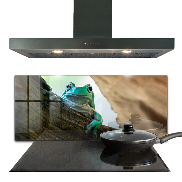 Panel szklany do kuchni Ciekawska Żaba Na Liściu