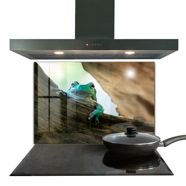 Panel szklany do kuchni Ciekawska Żaba Na Liściu