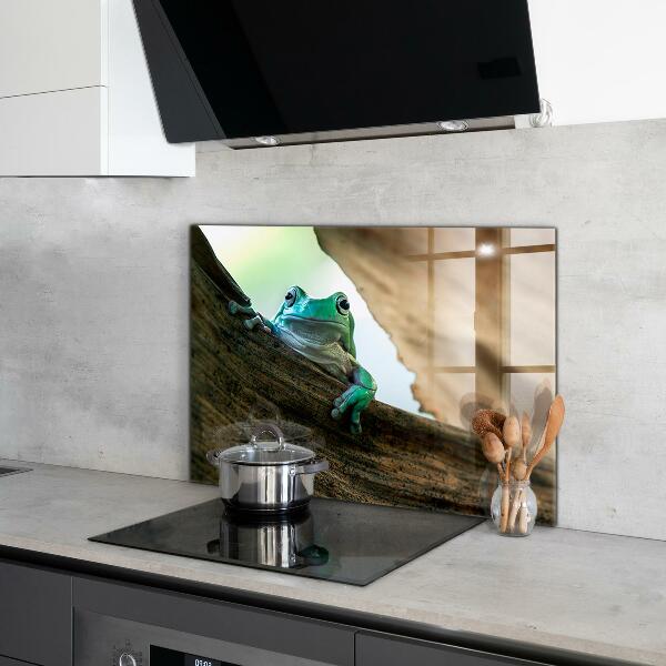 Panel szklany do kuchni Ciekawska Żaba Na Liściu