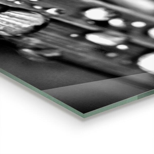 Szkło na ścianę do kuchni Liść Rosa Czarno-białe