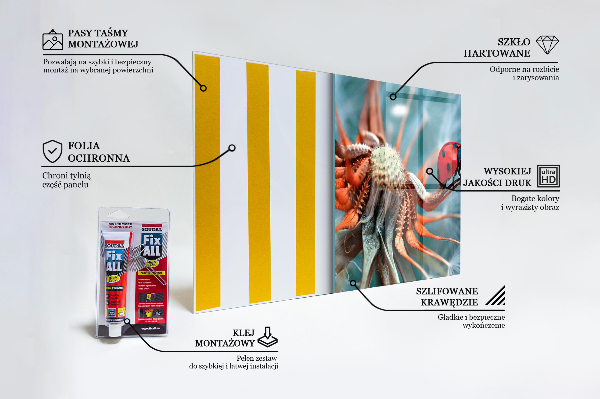 Panel szklany do kuchni Biedronka Chrząszcz Czerwony
