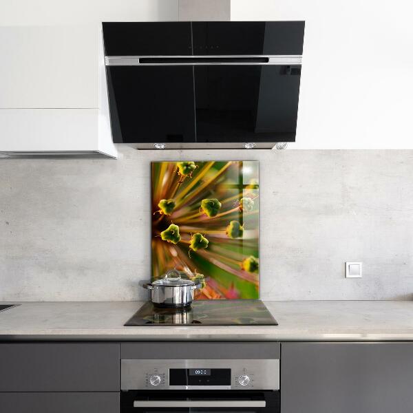 Szkło na ścianę do kuchni Kwiat makro fotografia