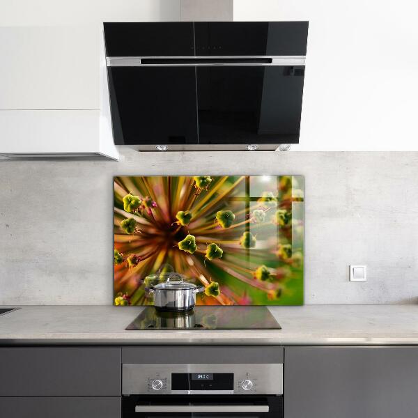 Szkło na ścianę do kuchni Kwiat makro fotografia