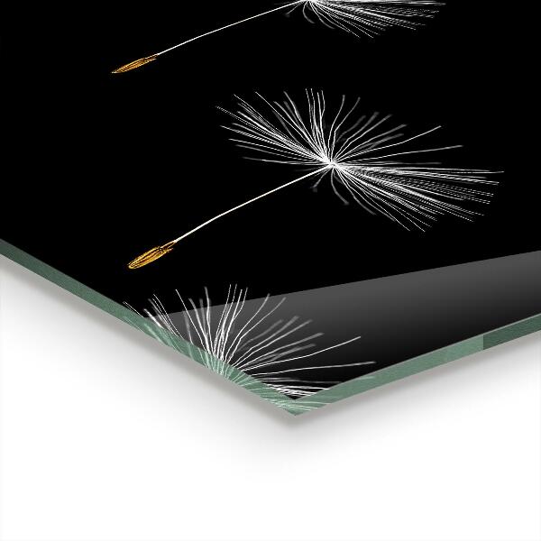 Szkło na ścianę do kuchni Dmuchawce na Wietrze