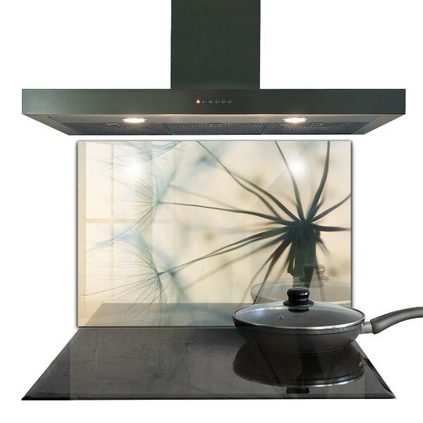 Szkło na ścianę do kuchni Piękny Delikatny Dmuchawiec